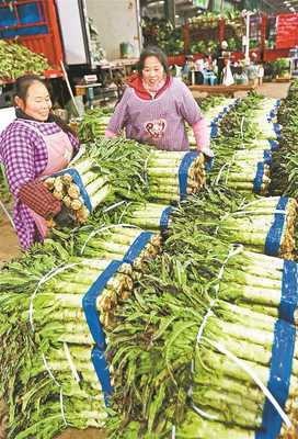 春节消费市场物丰价稳年味浓