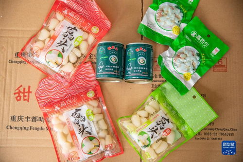 山区小藠头 长成 出口大产业